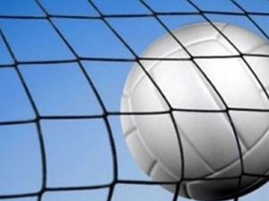 Filenin fidanları Trabzon'da!