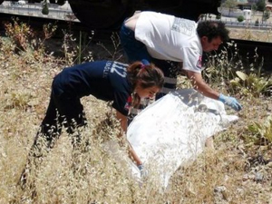 Tren istasyonunda intihar !