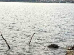 Deprem enkazları ortaya çıkıyor !