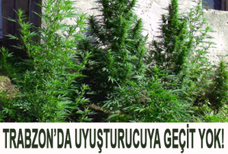 Trabzon'da uyuşturucuya geçit yok!