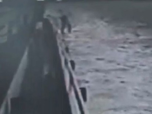 Feribottan ölüme atladı!