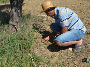Topraktan Şehit kemikleri çıkıyor!