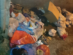 Bu çöpler ne olacak?