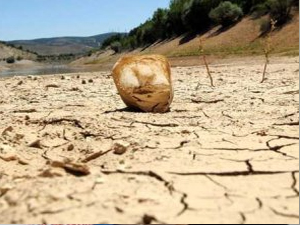 Suda dehşete düşüren ayrıntı!