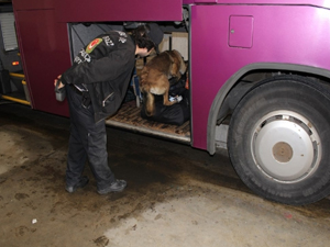 Yolcu mu taşıyorsun uyuşturucu mu ?