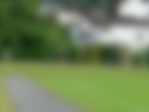 Trabzonspor idmanında birden ortaya çıktılar!