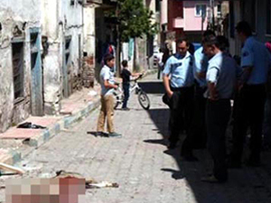 Köpek dehşeti:6 yaralı!