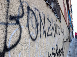 1 ayda 6 bin bonzai başvurusu!