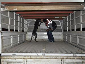 Seydişehir'de 50 Bin Paket Kaçak Sigara Ele Geçirildi