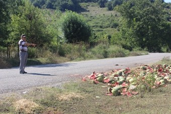 İnekler hastanelik oldu