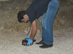 Çocuklar 5 adet mayın buldu!