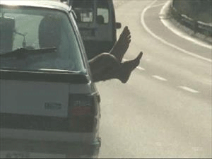 Serinlemenin Böylesi…