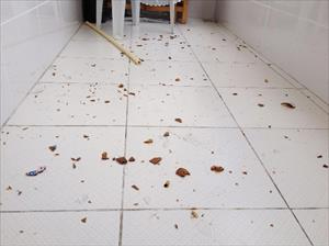 Boşandığı eşe hayatı zindan etti