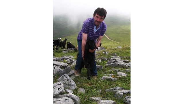 Trabzon'da çobanlık bitti!