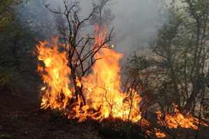 Havza’da samanlık yangını