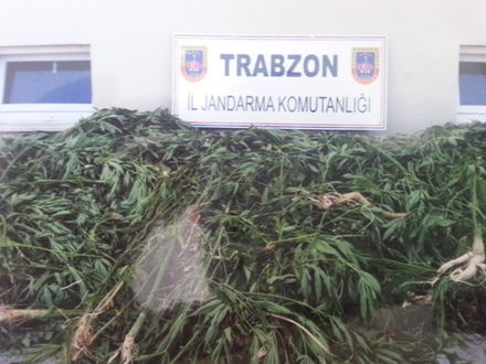 Trabzon'da 3 ilçeye operasyon 6 gözaltı