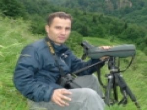 Ayılar neden insanlara saldırıyor?