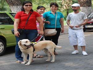 Görme engelli kıza kılavuz köpek ayıbı