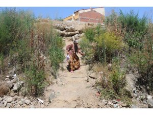 Büyükşehir'e yakıştı mı?