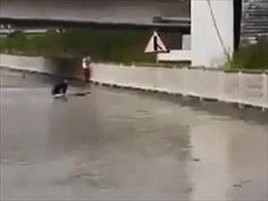 Hesapları tutmayınca…