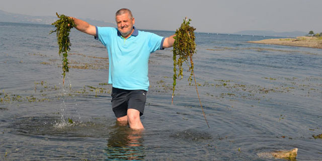 Sapanca Gölü'nde kırmızı alarm