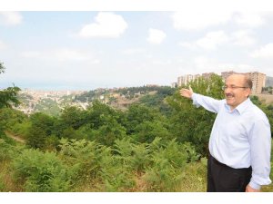 Botanik Bahçesinden iyi haber