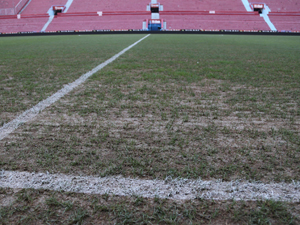 Ruslar Avni Aker'le dalga geçti