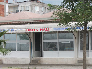 Ordu'da işyeri kurşunlandı!