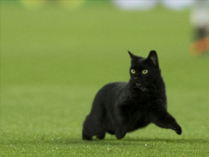 Barcelona'nın maçına sürpriz ziyaretçi!