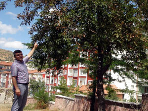 Meyveler mevsimi şaşırdı!