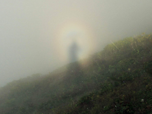 Rize'de esrarengiz olay!