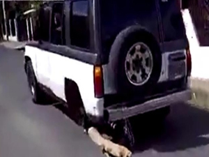 Karadenizlileri kıskandıracak çözüm!