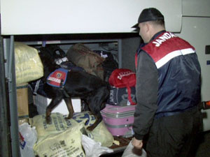 Cephanelik gibi otobüs!