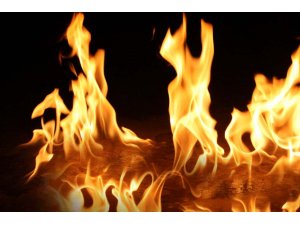 Artvin cayır cayır yandı!