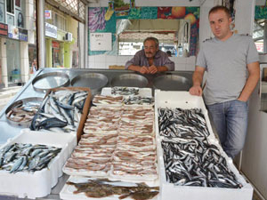 Karadeniz'de hamsi alarmı!