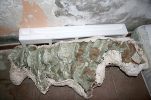 Türkiye'de 30 Milyon yıllık fosil bulundu!