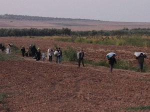 Mayınlara aldırmadan Türkiye'ye kaçıyorlar