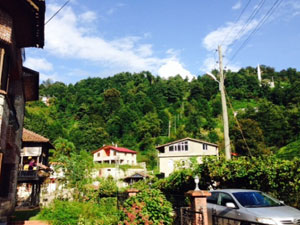 Doğu Karadeniz'in bu köyünde sıkıntı büyük!