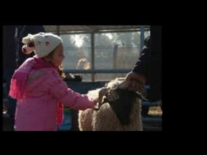 Bayramda hava nasıl olacak?