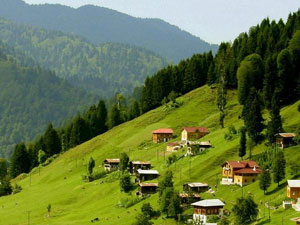 Karadeniz yaylalarından göç başladı!