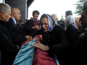 Ali Osman Ulusoy için ES FIRTINA