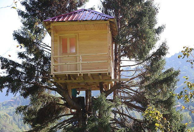 Rizeli ağaça ev yaptı