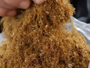 Türkiye'den tarihi rekor