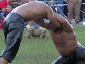 Kırkpınar’ın rövanşı Erbaa’da yapılacak