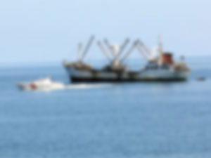 Trabzon'da denizde kaçak tatbikatı!