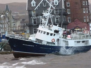 Kasırga can almaya devam ediyor!