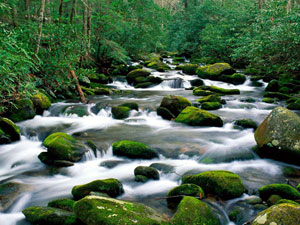 Kızılderiliye yapılanın aynısı Karadenizli’ye yapılıyor