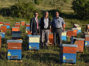 Karadeniz'de arıcılara yeni proje!
