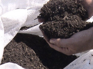 Sürmene'de Turba ile ısınıyorlar!