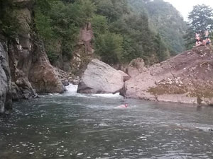 CHP'li vekilden HES tepkisi!